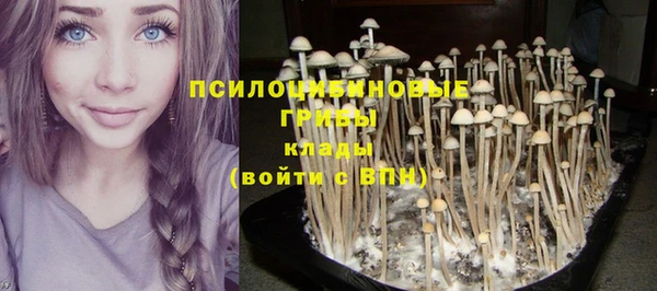 кокаин колумбия Краснослободск