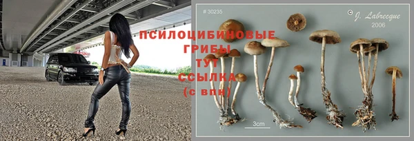 PSILOCYBIN Баксан