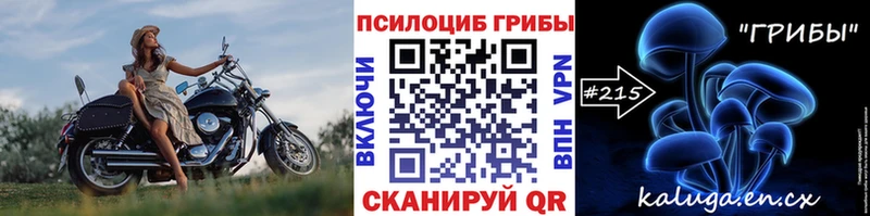 Псилоцибиновые грибы мицелий omg как войти Бийск