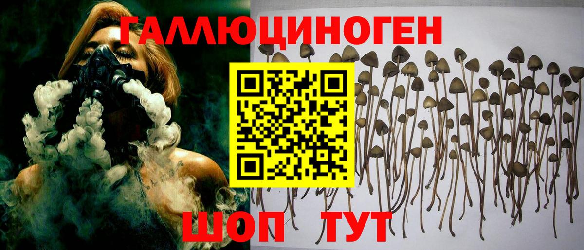 Псилоцибиновые грибы Magic Shrooms  Псилоцибиновые грибы мухоморы  Бийск 