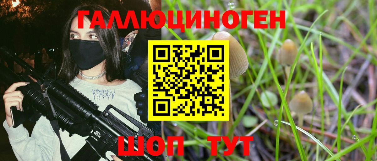 Псилоцибиновые грибы Magic Shrooms Бийск