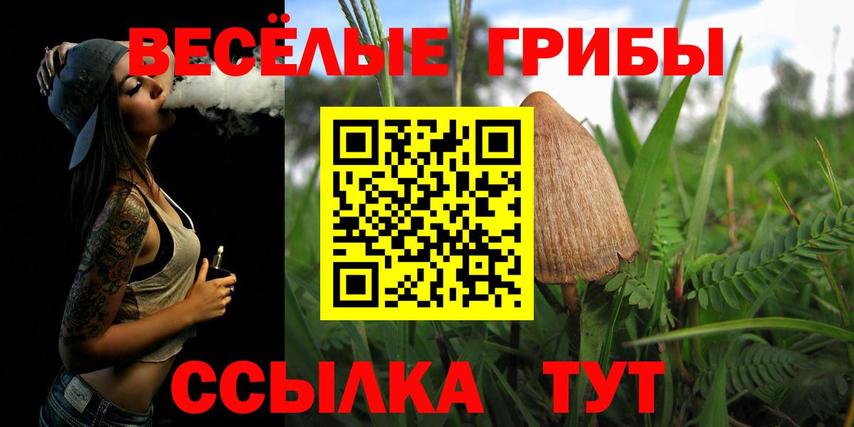 Галлюциногенные грибы Psilocybe Бийск